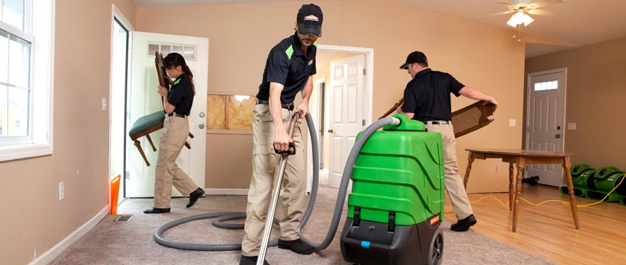 Garden City, NY cleaning services